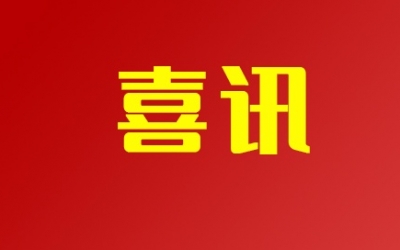 双认定：尊龙凯时人生就是搏地板获“绿色工厂”与“技术中心”双荣誉